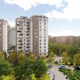 Tineretului, Delta Vacaresti